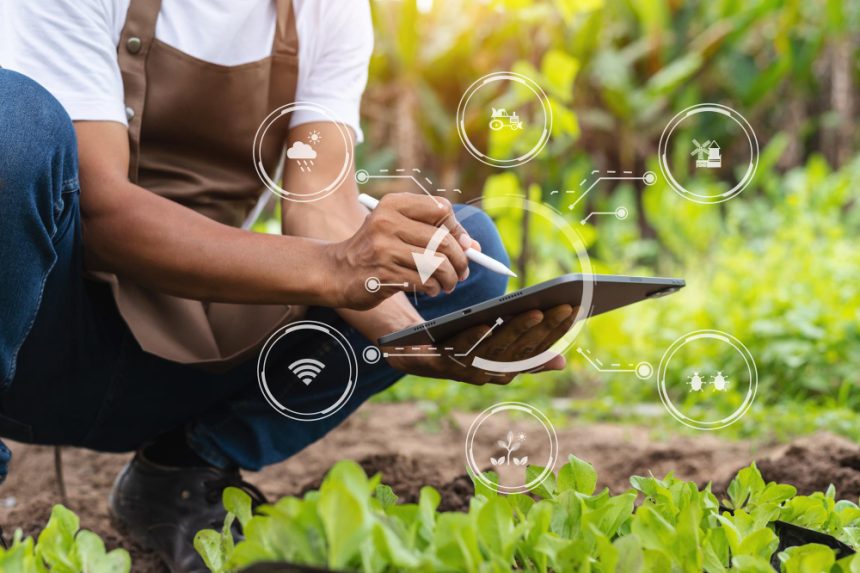 How Khula! Is Turning Farming Challenges Into Tech Driven Opportunities How Khula! Is Turning Farming Challenges Into Tech Driven Opportunities