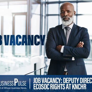 Job Vacancy: Deputy Director – ECOSOC Rights at KNCHR
