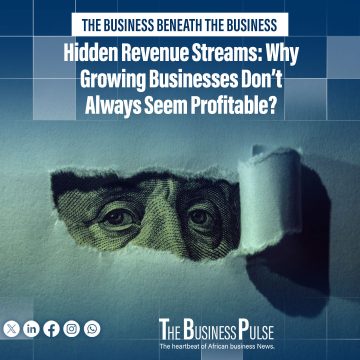 Hidden Revenue Streams: Why Growing Businesses Do Not Always Seem Profitable?