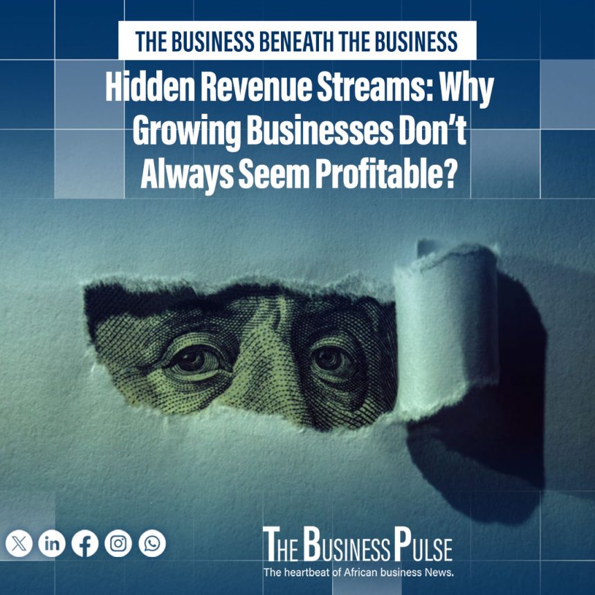 Hidden Revenue Streams: Why Growing Businesses Do Not Always Seem Profitable?