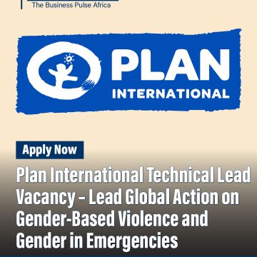 Apply for the Plan International Technical Lead role to drive global strategy on gender-based violence and gender in emergencies within a leading humanitarian organisation.