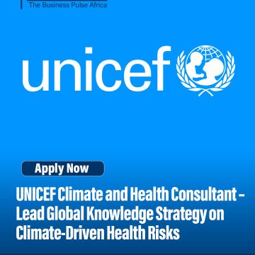 UNICEF Climate and Health Consultant – Lead Global Knowledge Strategy on Climate-Driven Health Risks
