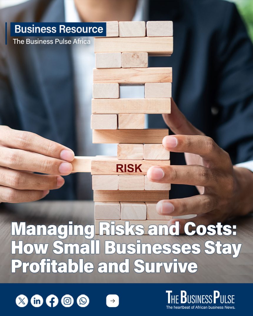 Managing Risks and Costs: How Small Businesses Stay Profitable and Survive