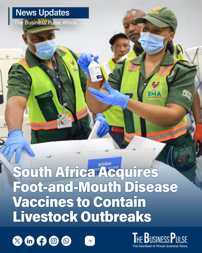 South Africa Acquires Foot-and-Mouth Disease Vaccines to Contain Livestock Outbreaks