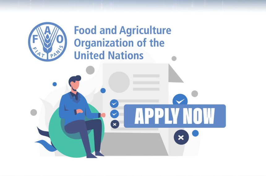 FAO Project Coordinator Vacancy: Apply for a Key Role in International Development Programmes