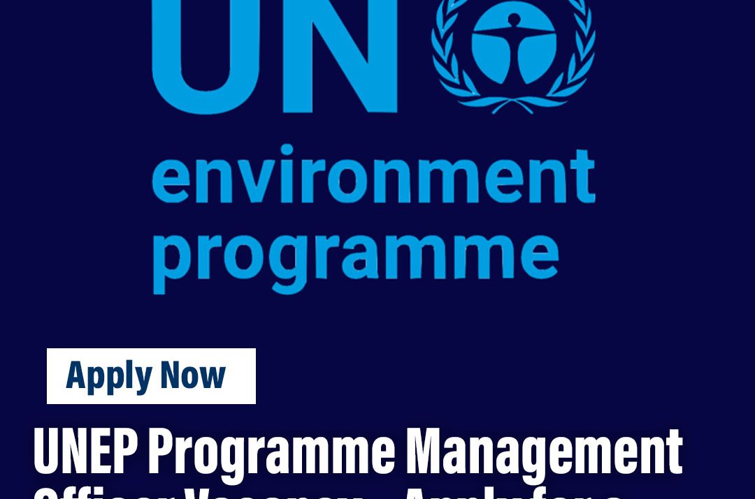 UNEP Programme Management Officer Vacancy – Apply for a Strategic Environmental Leadership Role