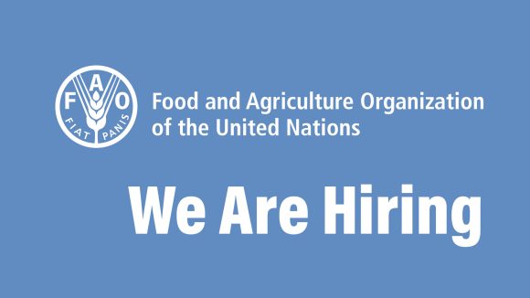 Country and Policy Support Specialist: Lead Global Food Security Initiatives with the Food and Agricultural Organization