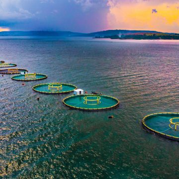 Lake Kariba: An Engineering Marvel and Regional Economic Hub