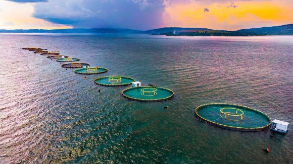 Lake Kariba: An Engineering Marvel and Regional Economic Hub