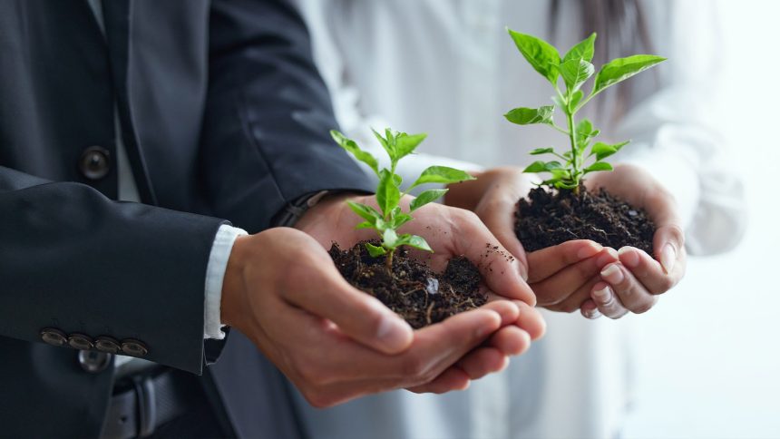 Scaling with Strategy: Knowing When to Expand and When to Hold Back in Your Business