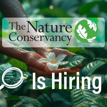 The Nature Conservancy Opens Recruitment for Undergraduate Innovation Intern New York