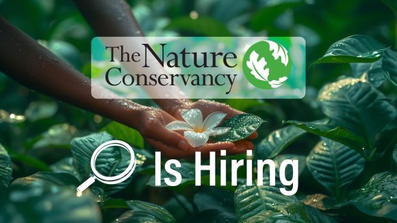 The Nature Conservancy Opens Recruitment for Undergraduate Innovation Intern New York
