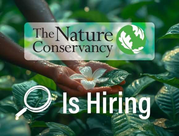 The Nature Conservancy Opens Recruitment for Undergraduate Innovation Intern New York The Nature Conservancy Opens Recruitment for Undergraduate Innovation Intern New York