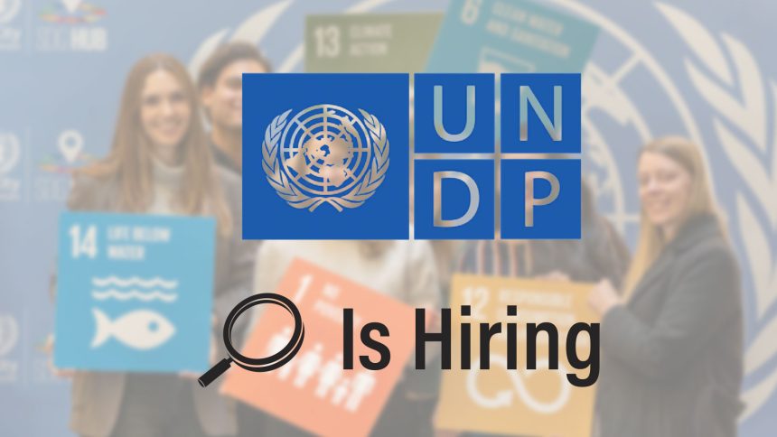 Project Analyst - Public Finance: UNDP Djibouti Opens Recruitment for Governance Unit