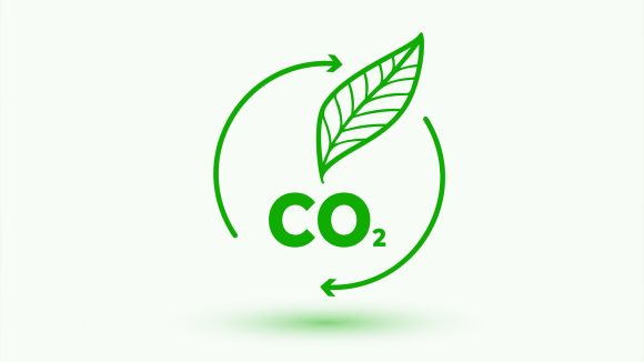 Carbon Credits in Agriculture: Evaluating the Expansion of Voluntary Carbon Markets Africa