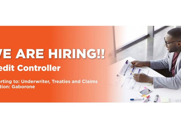 Financial Leadership in Gaborone: Emeritus Reinsurance Vacancy for a Skilled Credit Controller