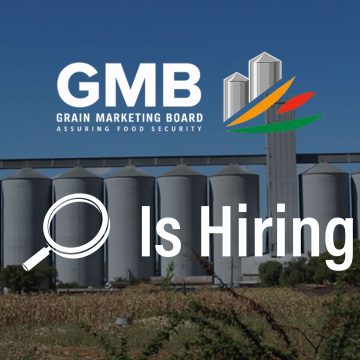 GMB Manager Vacancy: Grain Marketing Board Recruits ICT Lead to Drive Digital Transformation