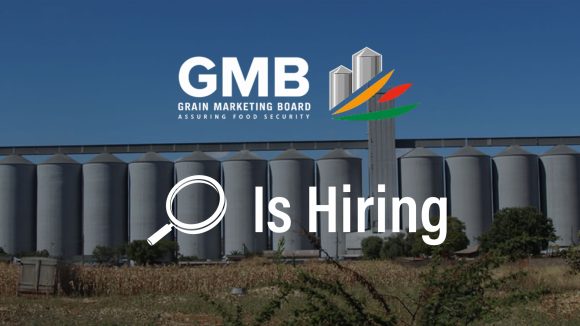 GMB Manager Vacancy: Grain Marketing Board Recruits ICT Lead to Drive Digital Transformation