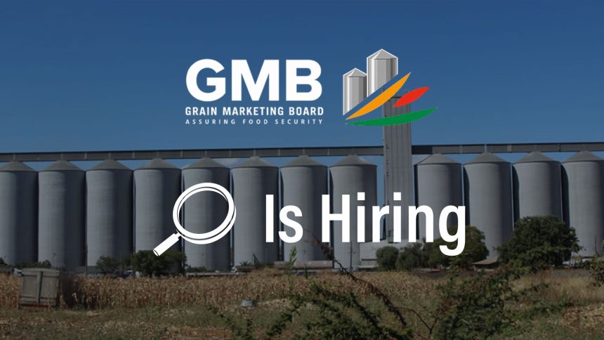 GMB Manager Vacancy: Grain Marketing Board Recruits ICT Lead to Drive Digital Transformation