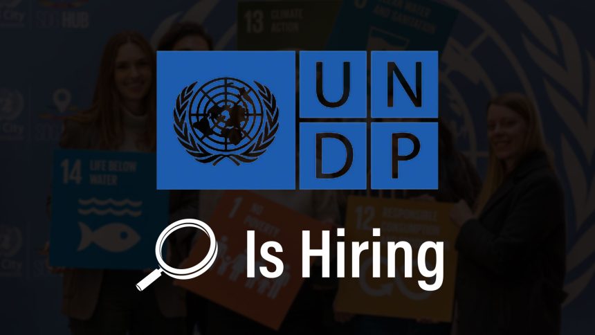 IT and Administrative Intern: UNDP Istanbul Center Recruits Turkish-Speaking Lead for Digital Operations