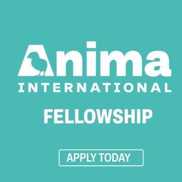 Global Impact Career: Anima International Fellowship 2026