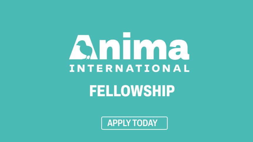 Global Impact Career: Anima International Fellowship 2026