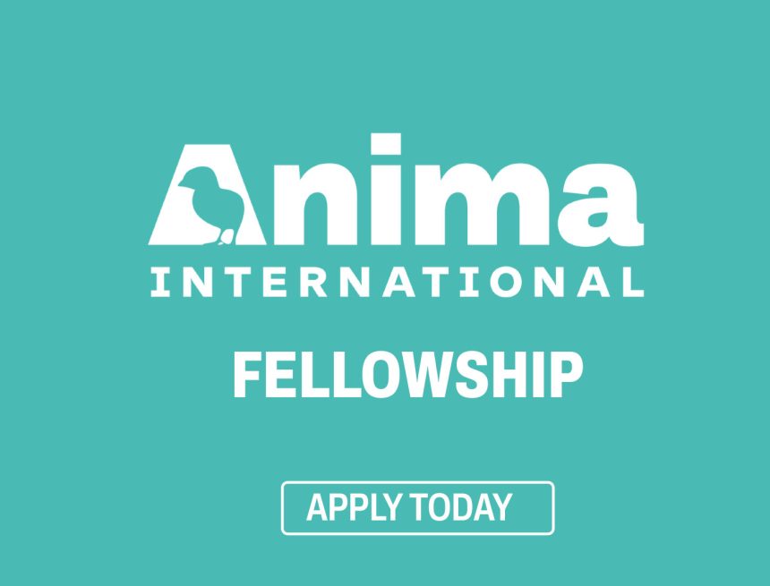 Global Impact Career: Anima International Fellowship 2026