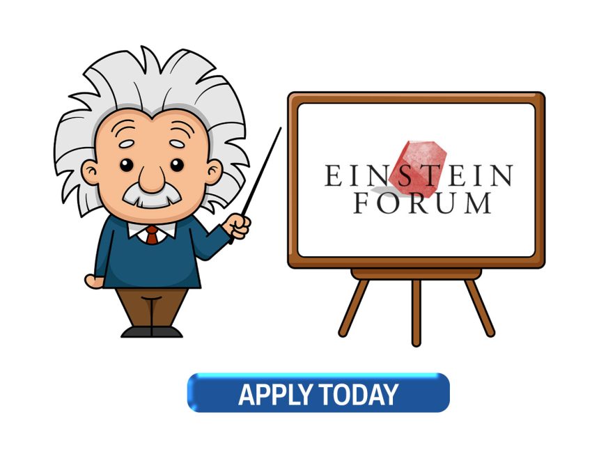 Call for Thinkers: Einstein Fellowship 2026 in Germany