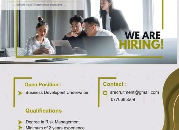 Strategic Growth: New Safel Insurance Vacancies in the Risk Sector