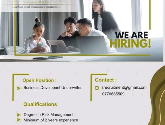 Strategic Growth: New Safel Insurance Vacancies in the Risk Sector