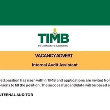 Financial Integrity: TIMB Audit Assistant Vacancy