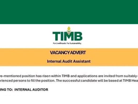 Financial Integrity: TIMB Audit Assistant Vacancy