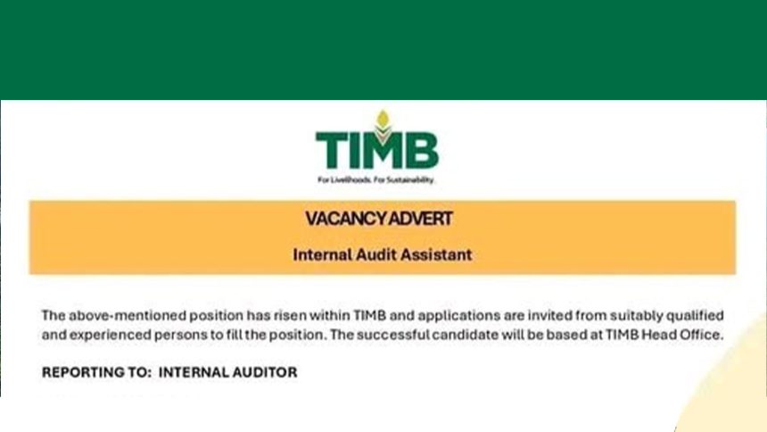 Financial Integrity: TIMB Audit Assistant Vacancy