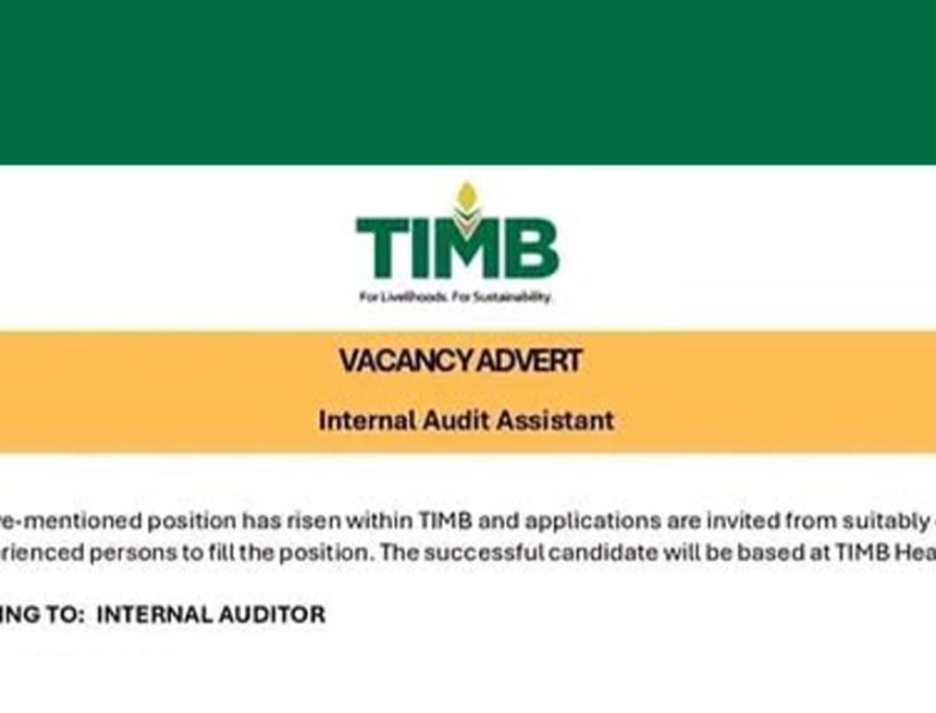 Financial Integrity: TIMB Audit Assistant Vacancy