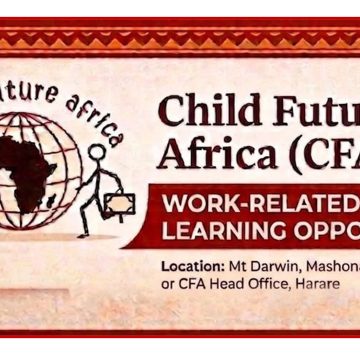 NGO Careers - Work-Related Learning Opportunity: Child Future Africa Development Studies Attachment
