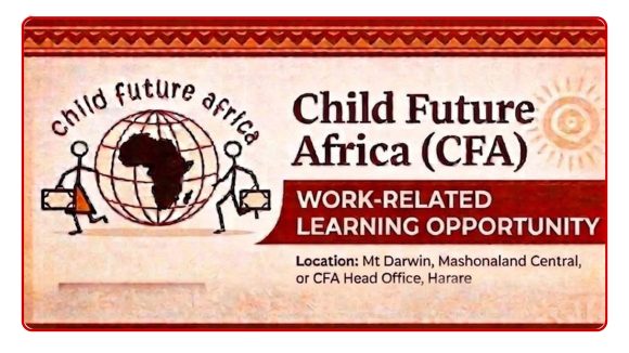 NGO Careers - Work-Related Learning Opportunity: Child Future Africa Development Studies Attachment