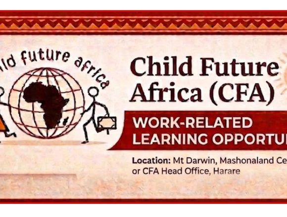 NGO Careers - Work-Related Learning Opportunity: Child Future Africa Development Studies Attachment