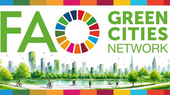 Sustainable Urban Development: The FAO Green Cities Network Platform