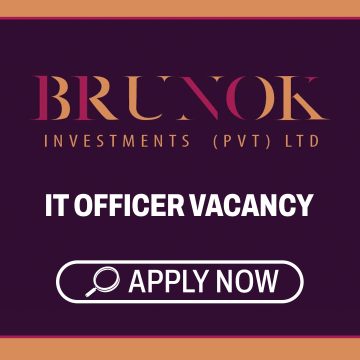 IT Careers: Brunok IT Officer Vacancy