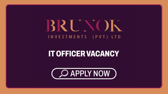 IT Careers: Brunok IT Officer Vacancy