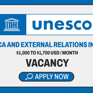 International Diplomacy: UNESCO Priority Africa and External Relations Internship