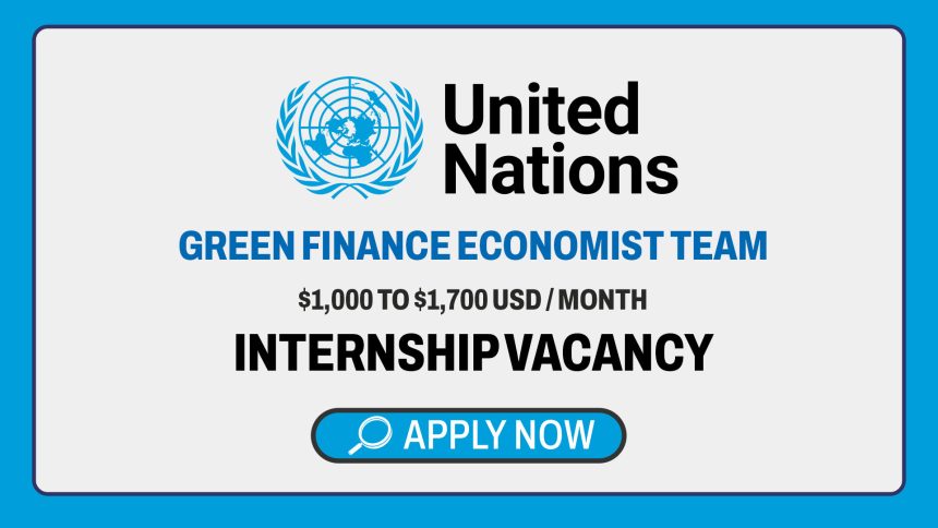 International Development: UNDP Economist Team Intern