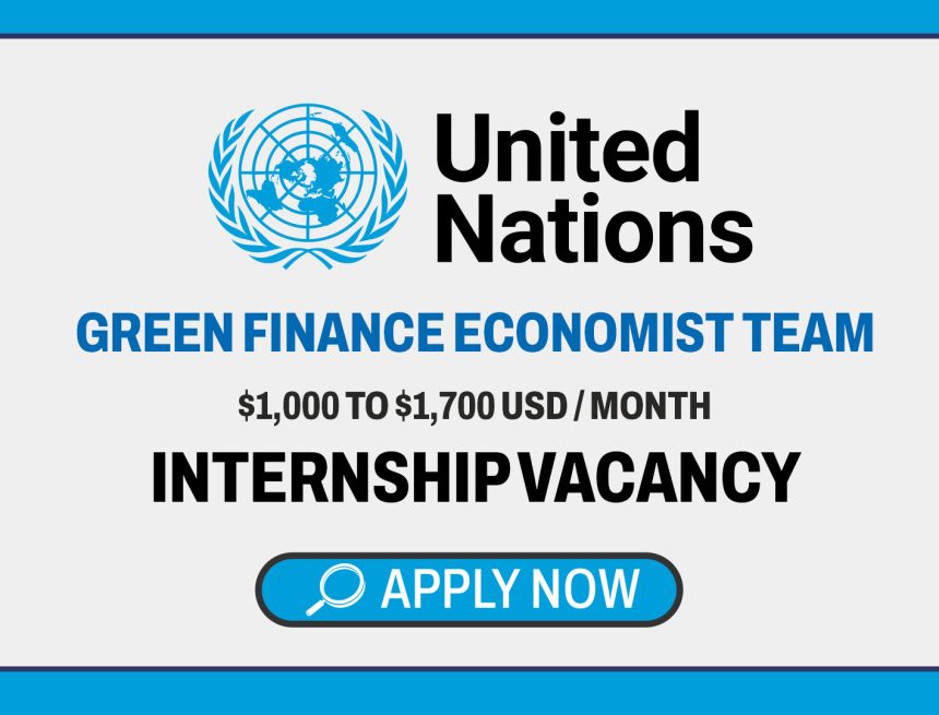 International Development: UNDP Economist Team Intern International Development: UNDP Economist Team Intern
