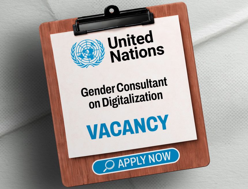 United Nations Careers: UN Gender Consultant on Digitalization United Nations Careers: UN Gender Consultant on Digitalization