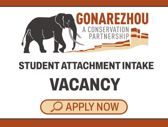 Conservation & Tourism Careers: Gonarezhou Student Attachment Intake Conservation & Tourism Careers: Gonarezhou Student Attachment Intake