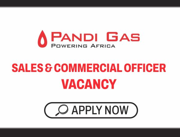 Energy Sector Growth: PANDI GAS Sales and Commercial Officer Vacancy