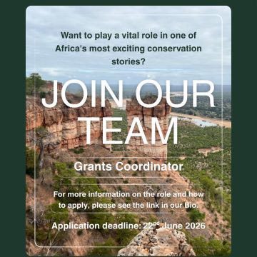 Apply for the Gonarezhou Grants manager vacancy. Open for professionals with NGO grant management experience