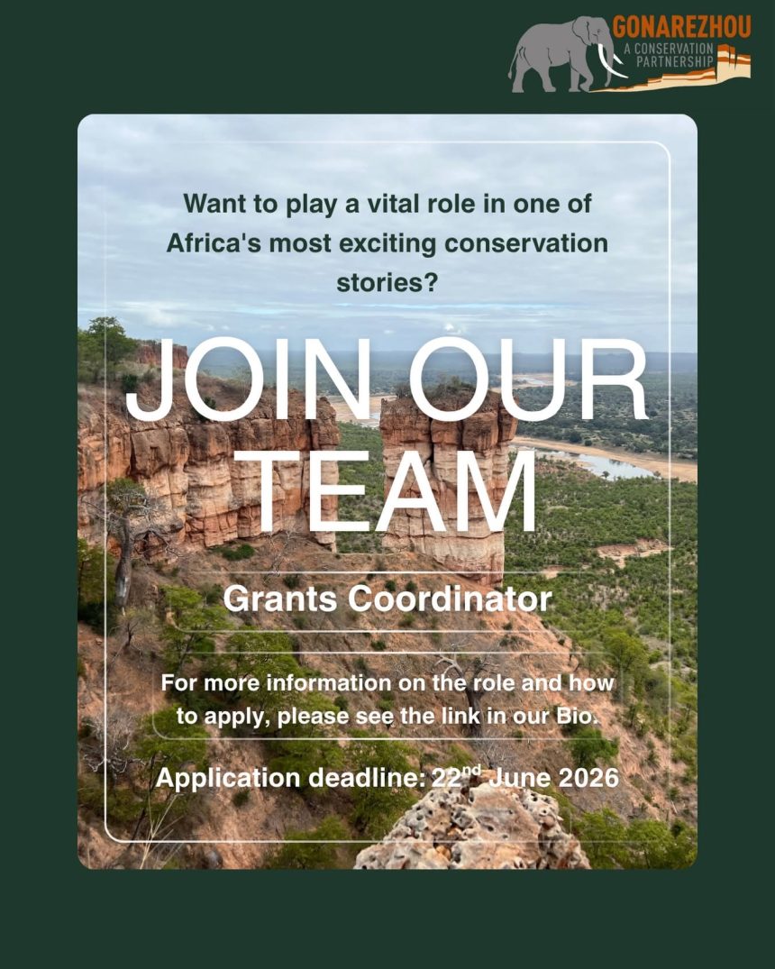 Apply for the Gonarezhou Grants manager vacancy. Open for professionals with NGO grant management experience Apply for the Gonarezhou Grants manager vacancy. Open for professionals with NGO grant management experience