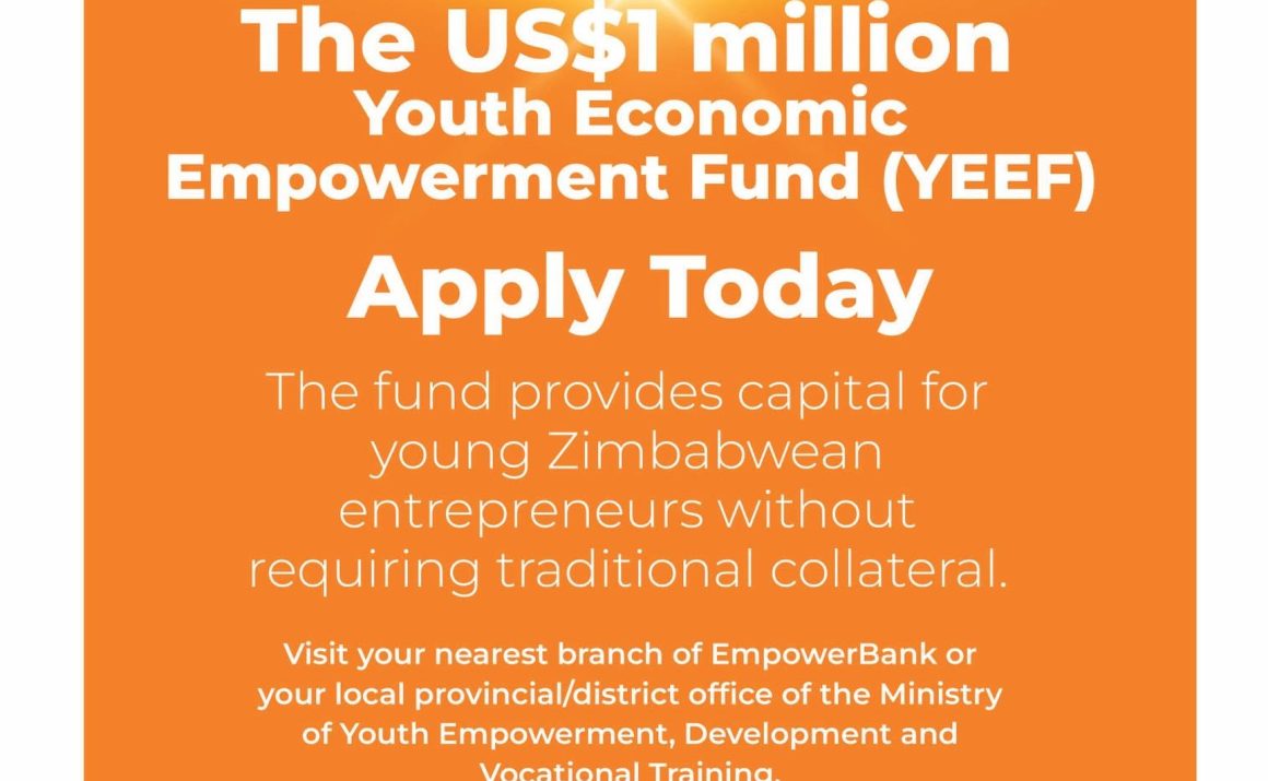 Development Finance & SMME Support: The USD $1 Million Youth Economic Empowerment Fund (YEEF)