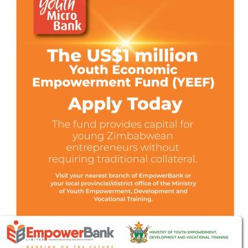 Development Finance & SMME Support: The USD $1 Million Youth Economic Empowerment Fund (YEEF)